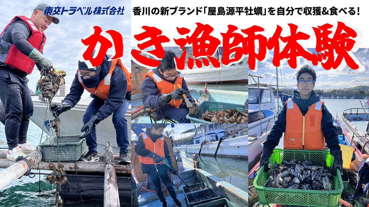 かき漁師体験　屋島源平牡蠣を自分で収獲&食べる！