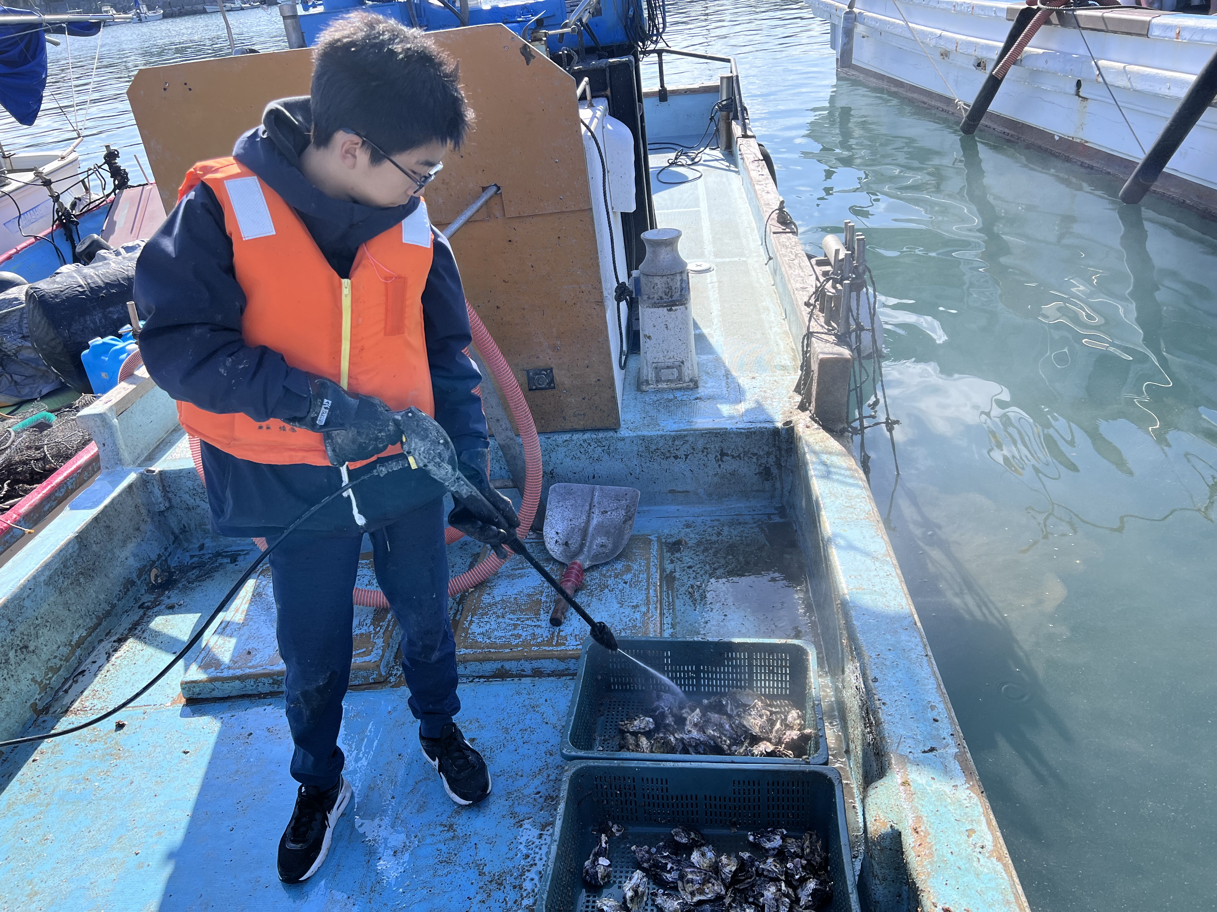 かき漁師体験　屋島源平牡蠣を自分で収獲&食べる！