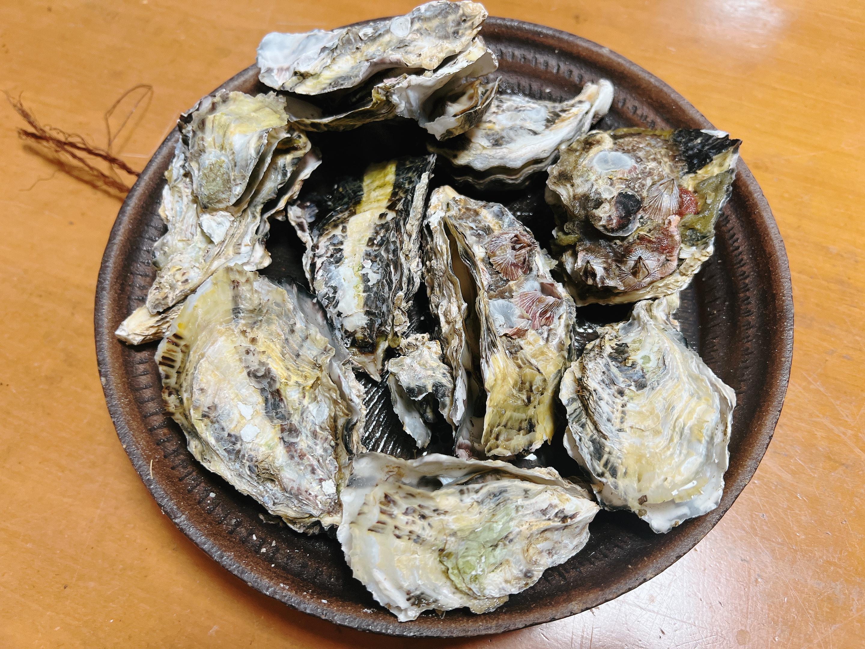 かき漁師体験　屋島源平牡蠣を自分で収獲&食べる！