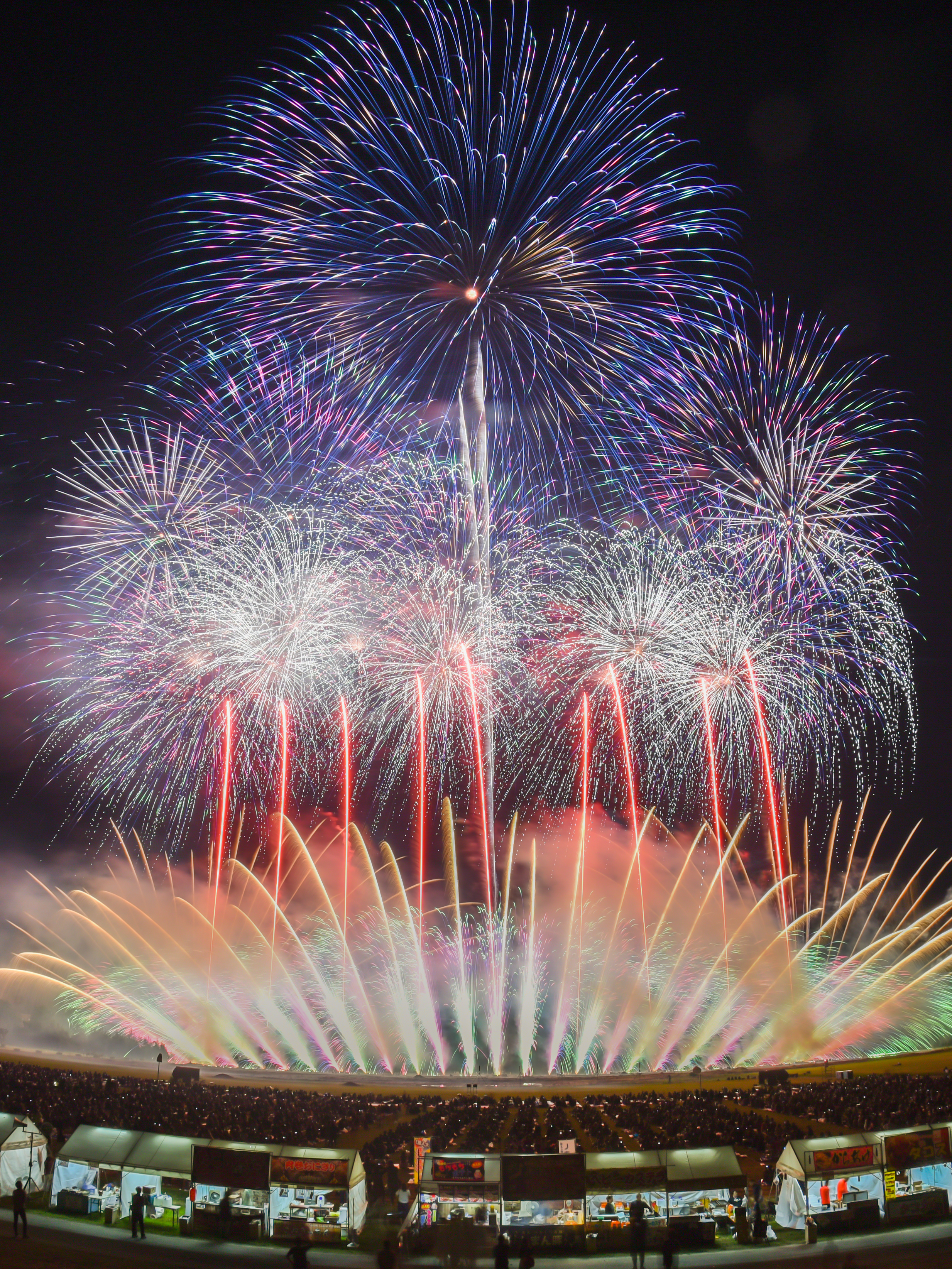 にし阿波の花火 2025 鑑賞バスツアー